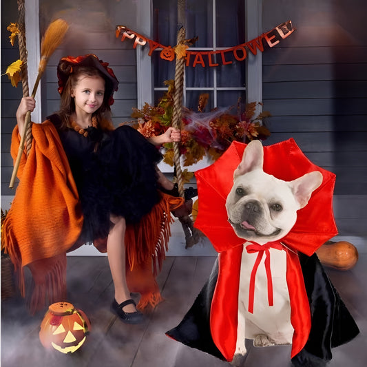 Spooky Pet Costume – Bat Wings + Cape