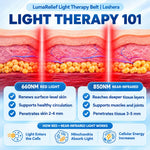 LumaRelief Light Therapy Belt | Leshera