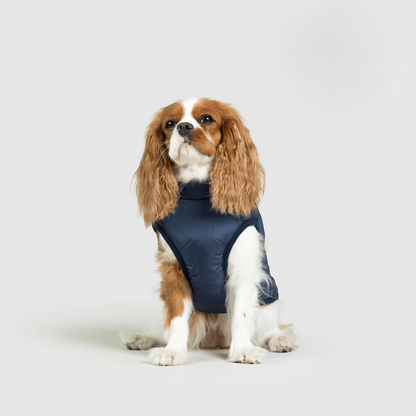 Warm Waterproof Pet Vest – Fall & Winter