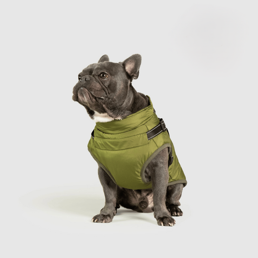 Warm Waterproof Pet Vest – Fall & Winter
