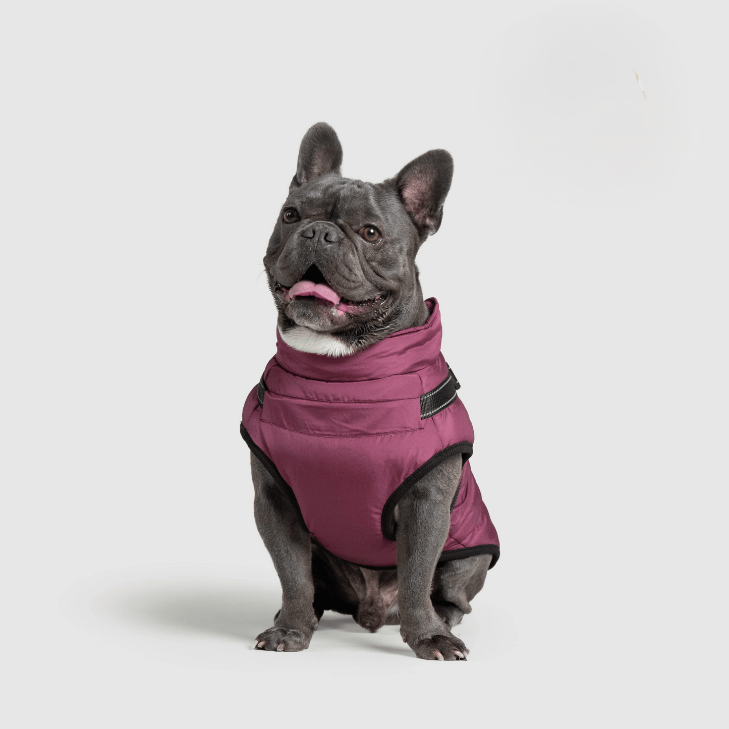 Warm Waterproof Pet Vest – Fall & Winter