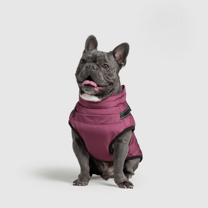 Warm Waterproof Pet Vest – Fall & Winter