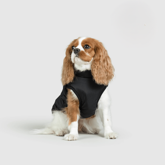 Warm Waterproof Pet Vest – Fall & Winter