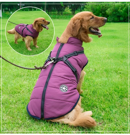 Warm Waterproof Pet Vest – Fall & Winter