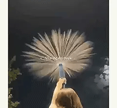 Cithway® Firework Water Gun