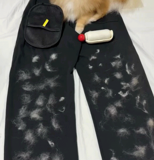 Buy 1 Get 1 Free 🔥 Pawz™ Electrostatic Pet Hair Removal Grooming Gloves