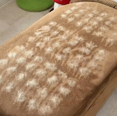 Buy 1 Get 1 Free 🔥 Pawz™ Electrostatic Pet Hair Removal Grooming Gloves