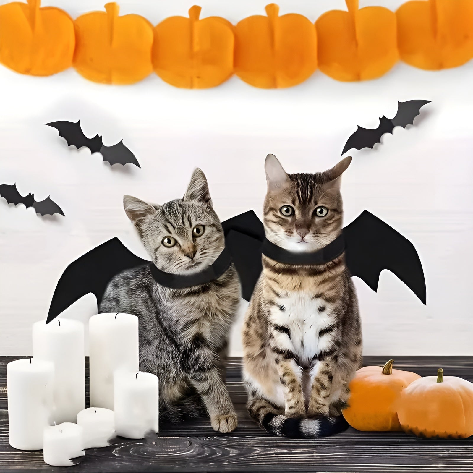 Pet Bat Wings Costume – Cute Halloween Outfit for Cats & Dogs