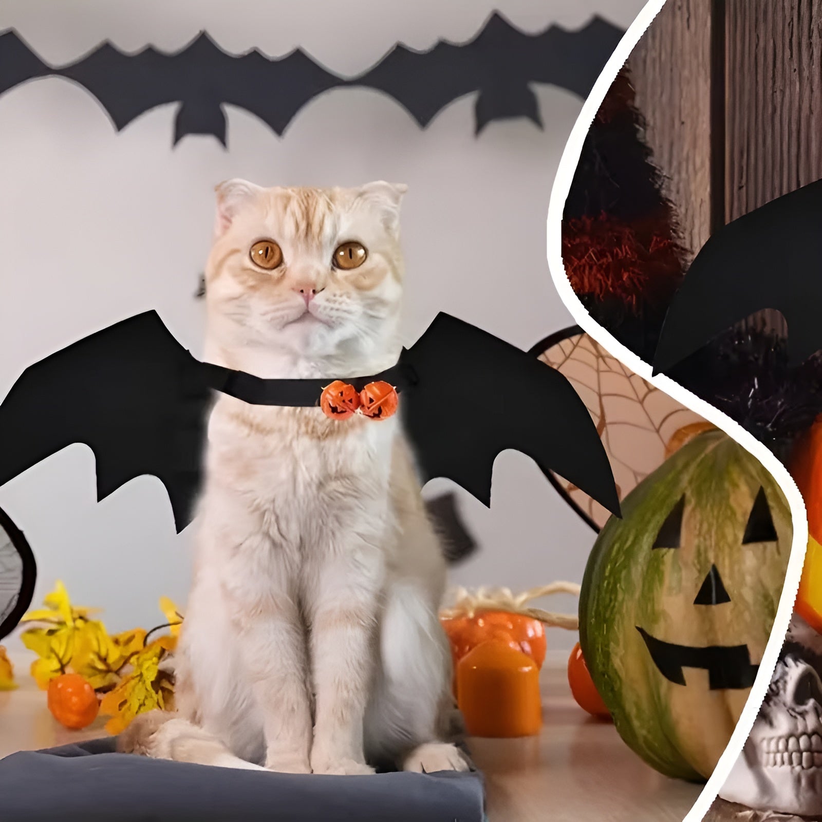 Pet Bat Wings Costume – Cute Halloween Outfit for Cats & Dogs