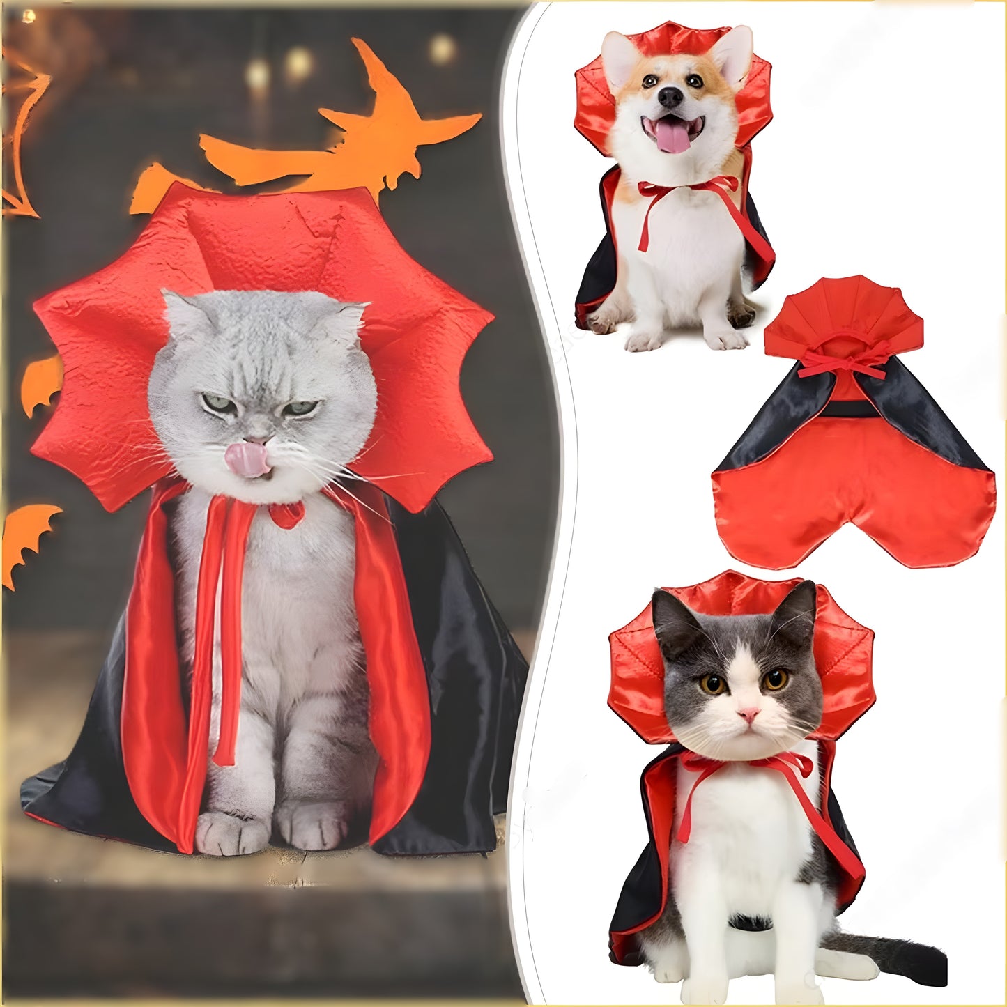 Spooky Pet Costume – Bat Wings + Cape
