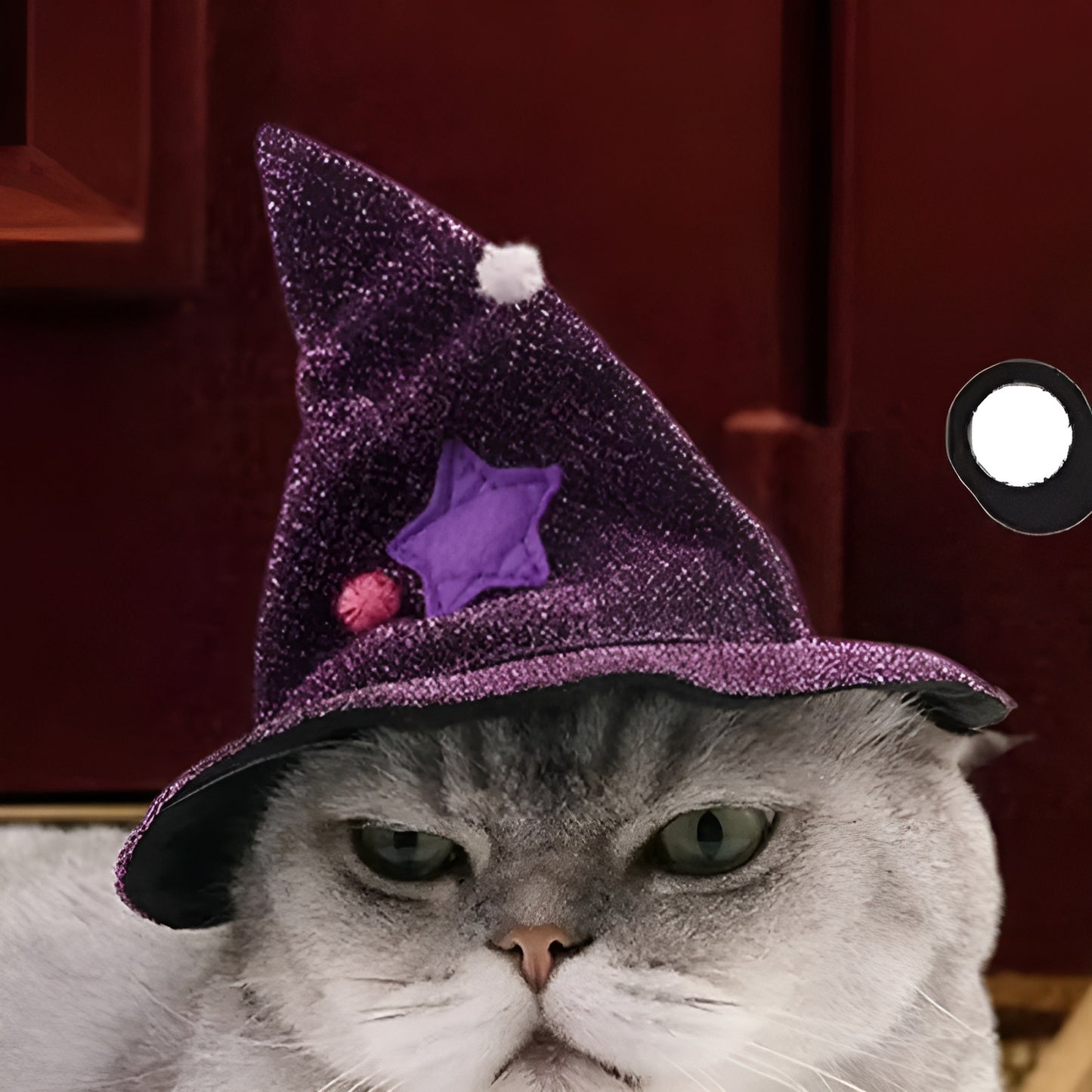 Cat Halloween Costume – Wizard Outfit for Cats & Small Dogs