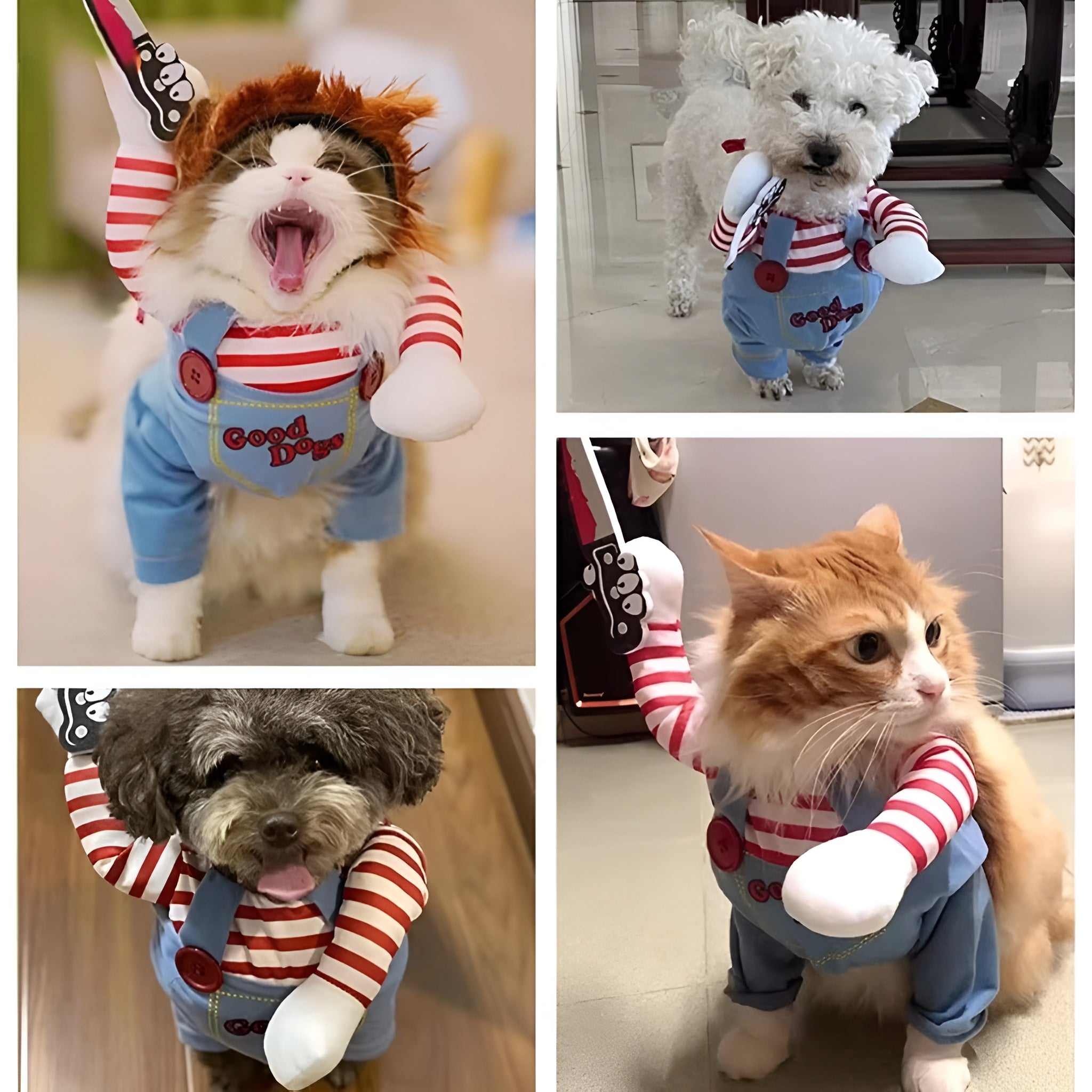 🎃 Spooky & Sweet Halloween Pet Costume – Adorably Haunting Outfit for Cats & Dogs