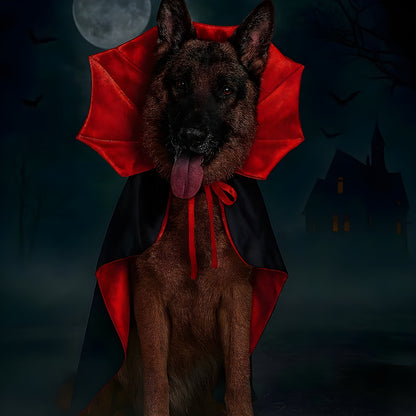Spooky Pet Costume – Bat Wings + Cape